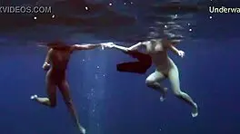 Sea Adventures On Tenerife Underwater