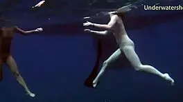 Sea Adventures On Tenerife Underwater