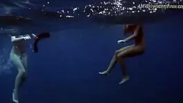 Sea Adventures On Tenerife Underwater