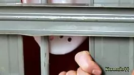 hot teen babe takes anal while friend watches, babe?