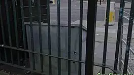 femdom babes suck fat rod?