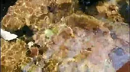 Estefii the petite teen prostitute gives sloppy blowjob and gets fucked outdoors in mountain public spot