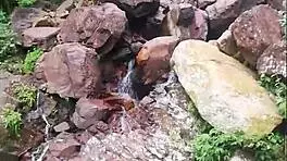 Estefii the petite teen prostitute gives sloppy blowjob and gets fucked outdoors in mountain public spot