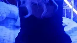 i watched this beautiful girl erotically movin on the bed, her tits and ass so cute and blonde