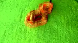 Hey, step-daughter Mandy Flores, wanna play naughty after college?