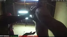 Marianna Kneels With Tits Out Sucking Cock