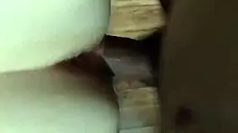 Teen brunette gets fucked hard by cock.