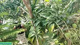 please, don’t fuck me like this in indian village sex, okay? 😳