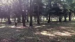 Enjoying Outdoor Activities With Friends And Family