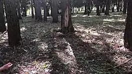 Enjoying Outdoor Activities With Friends And Family