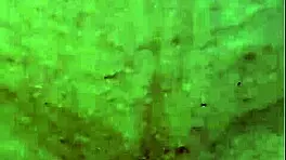 可爱墨西哥少女18+紧致湿润阴道骑乘时喷奶油