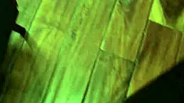 practicing on step sister's shaved pussy with daphne dare in teen fantasy