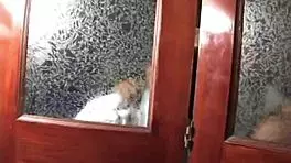 The naughty couple says, Let's fuck at the party outdoors while being watched.