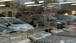 Naughty Brunette Babe Leyla Outdoors