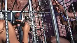 Two Black Amateurs Join Group Activity Together