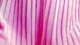 Young Student Boldly Shows Big Tits and Plays with Them Intensely.