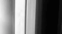 sucking my step brothers cock hidden