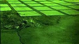 18yo teen's hardcore domination and extreme BDSM scenes