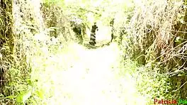 Blind lady gets fucked outdoors by stranger