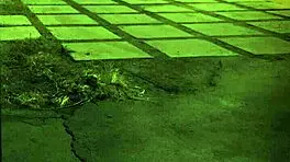 i punish cute stepdaughter in garage bondage domination