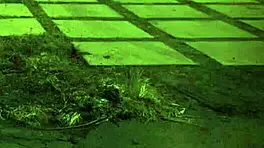 i punish cute stepdaughter in garage bondage domination