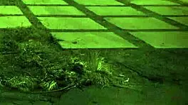 i punish cute stepdaughter in garage bondage domination