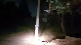 Adventure in the mountain: teen gives blowjob to big cock at night