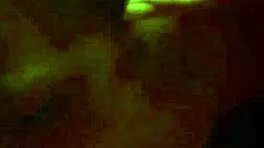 lara flynn boyle topless in mobsters 1991 blowjob scene