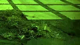 Bad Slut Endures Rough Anal Fucking with Dildo and BDSM.