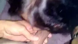 A cute young amateur sucks her boyfriend's cock until he cums on her face.