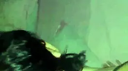 A cute young amateur sucks her boyfriend's cock until he cums on her face.