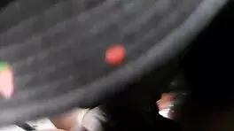 Sloppy Dick Sucking Session