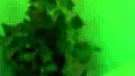 nataly and linda dance together and remove their clothes