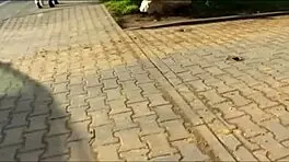 A German babe engages in public outdoor activities with a cute companion.