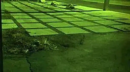 Can you handle this rough anal with the redhead?