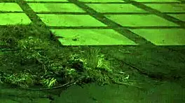 Can you handle this rough anal with the redhead?