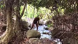 Don whoe receives sloppy blowjob from nina rivera outdoors.