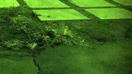 Hot Teen 18+ Tight Pussy Fucked First Time Unless Youre From The Sixties