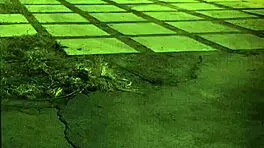 Pussy pump BDSM with extreme MILF domination and swollen pussy.