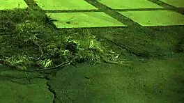 i tied up the teen for rough outdoor bondage her first time, shes so bound n helpless