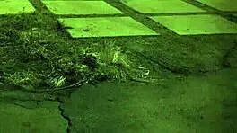 i tied up the teen for rough outdoor bondage her first time, shes so bound n helpless