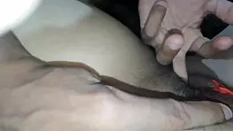 Stepsiblings enjoy homemade deepthroat and doggystyle sex