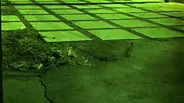 Teacher Punishes Bound Student With Hardcore Fucking.