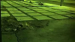 Blonde Teen Bound and Anal Punished in Garage