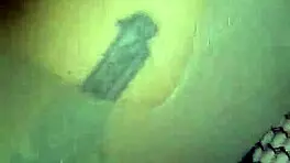 I'm always craving hot pussy and thick dick to devour