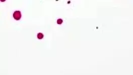 Wow! Petite blonde step sis Skyler Storm squirts on Christmas!