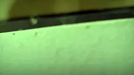 Spying on pregnant Chilean university babe flashing outdoors