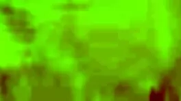 redhot fox gets blowjob and doggystyle rough sex