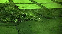 Step Mom Teaches Two Daughters Sex, But Milf Catches The Teen In Action! 😏