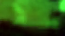 security camera caught a young guy sneaking into his stepmom's room at midnight for a blowjob